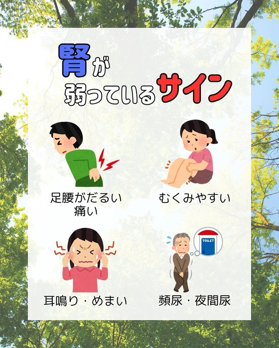 画像310