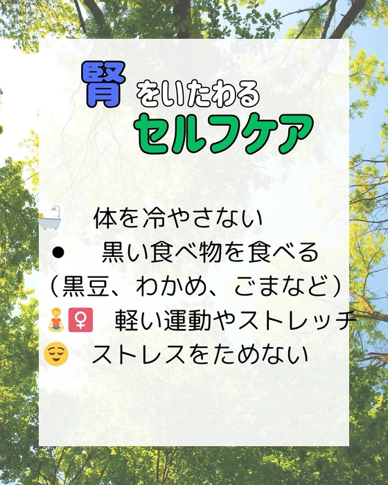 画像311