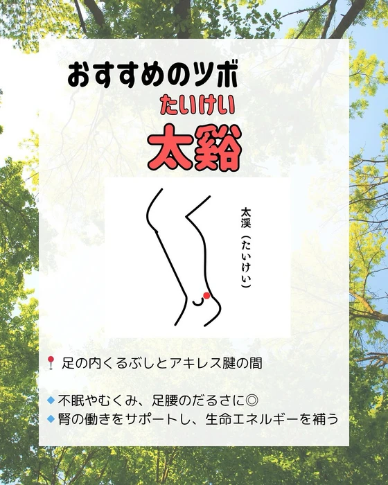 画像312