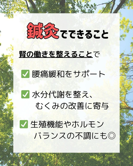 画像313