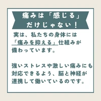 画像341