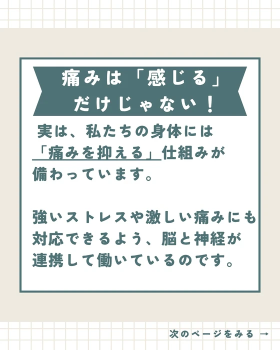 画像341