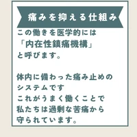 画像342