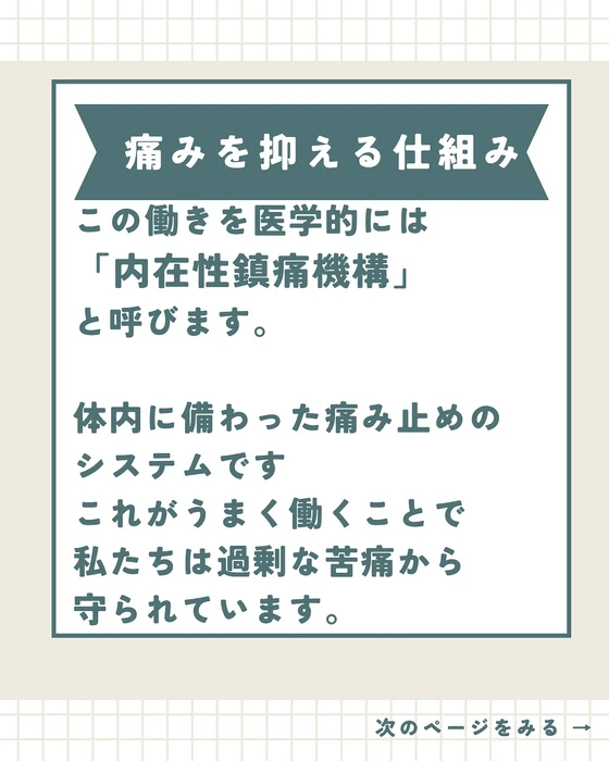 画像342