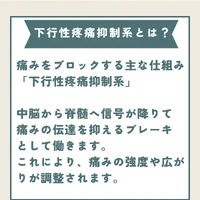 画像343