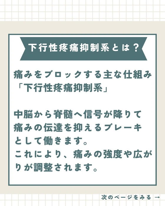 画像343