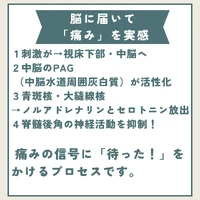 画像344