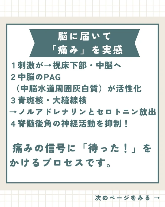 画像344