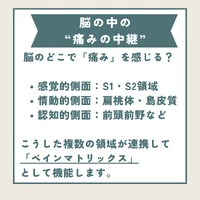 画像345