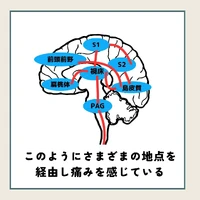 画像346