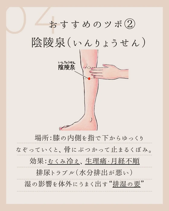 画像366