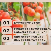 画像368