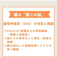 画像435