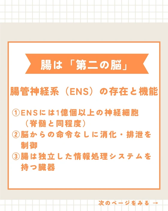 画像435