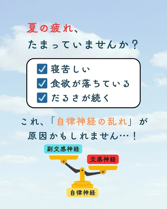 画像444