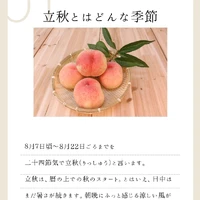 画像451