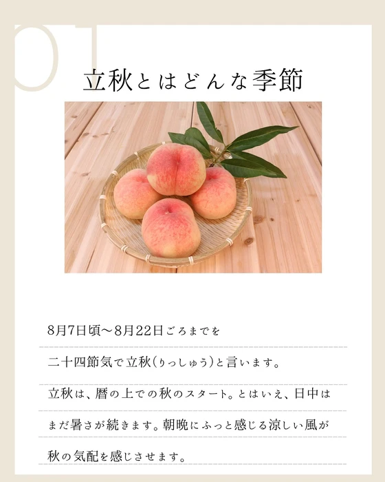 画像451
