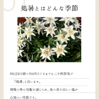 画像472