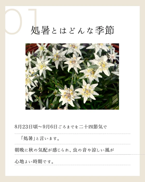 画像472