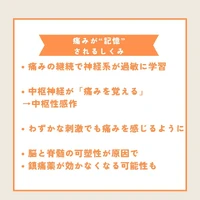 画像494