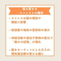 画像495
