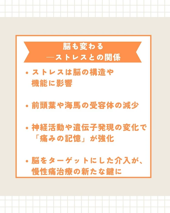 画像495