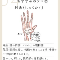 画像509
