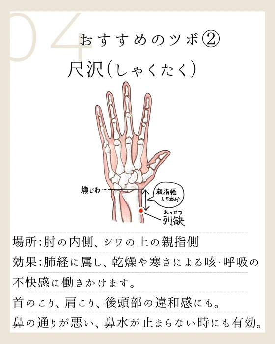 画像509