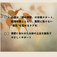 画像511