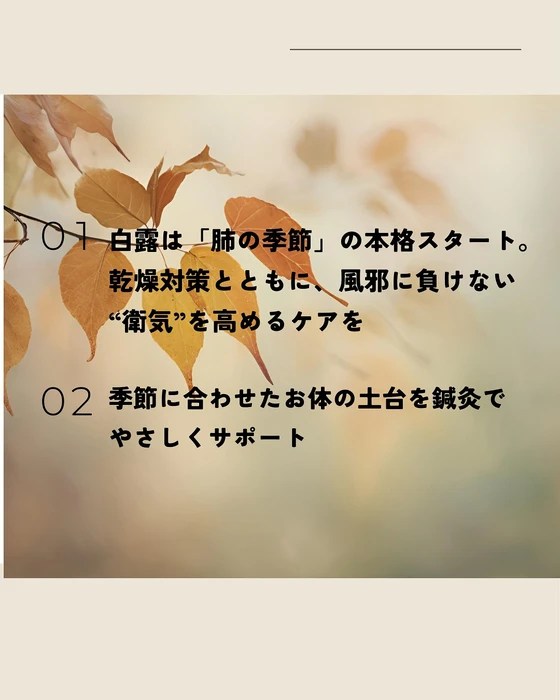 画像511