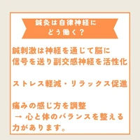 画像517