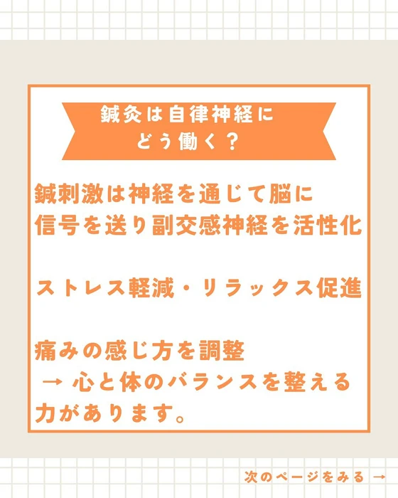 画像517