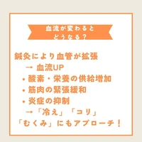 画像518