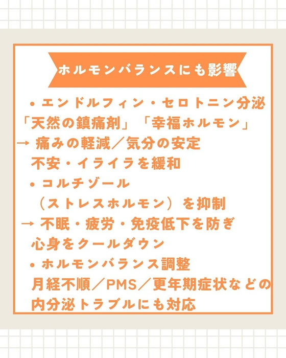 画像519