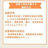 画像520