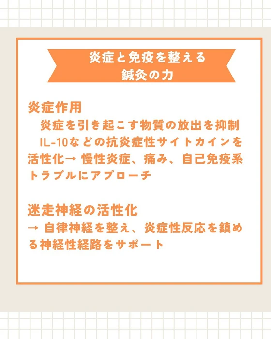 画像520