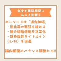 画像528