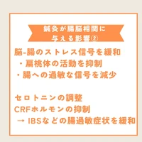 画像529