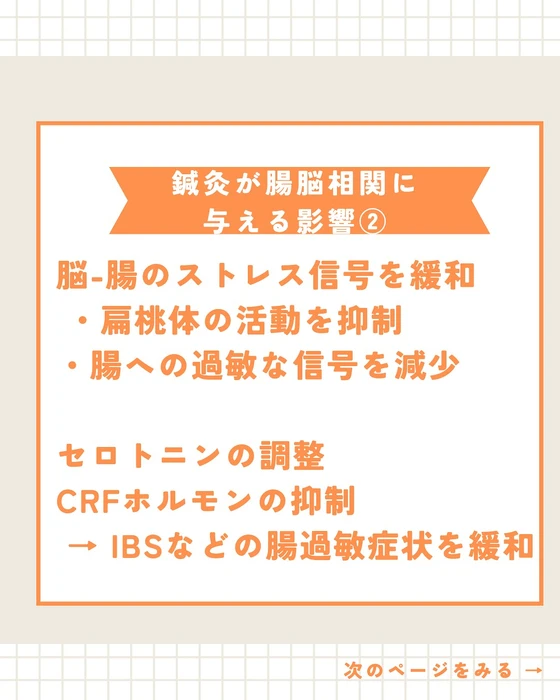 画像529