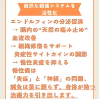 画像540