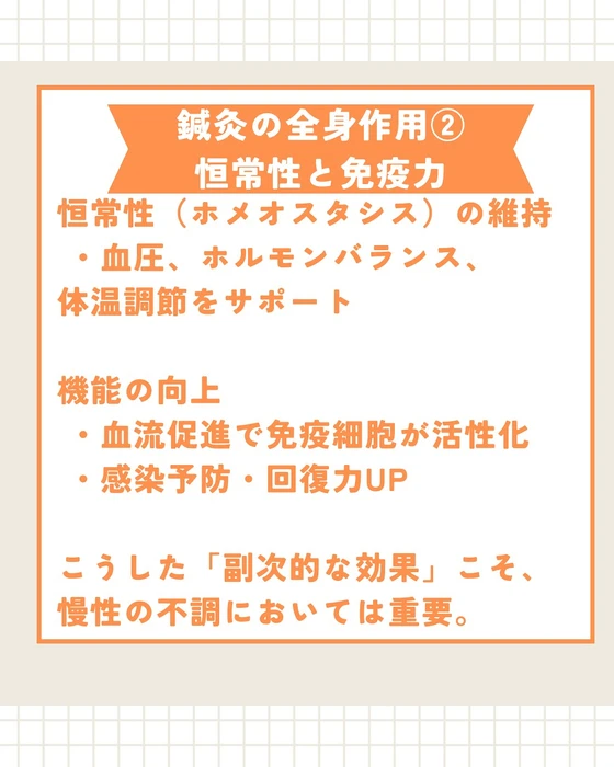 画像542