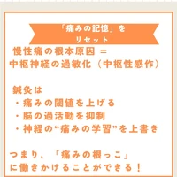 画像545
