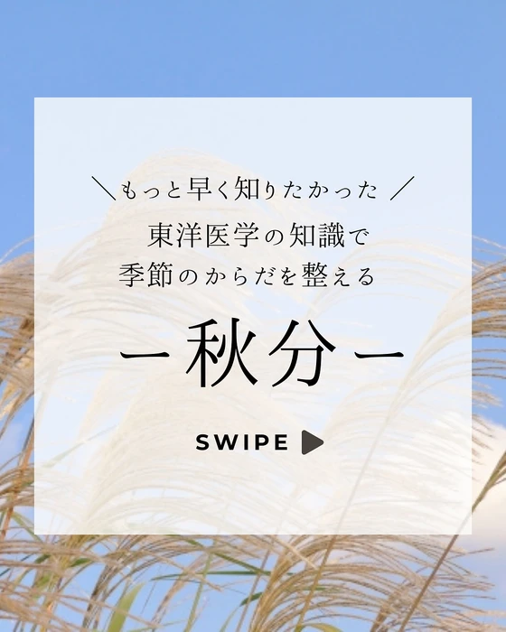 画像549