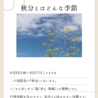 画像550