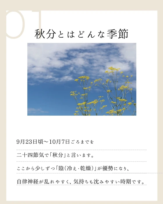 画像550