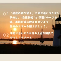 画像555