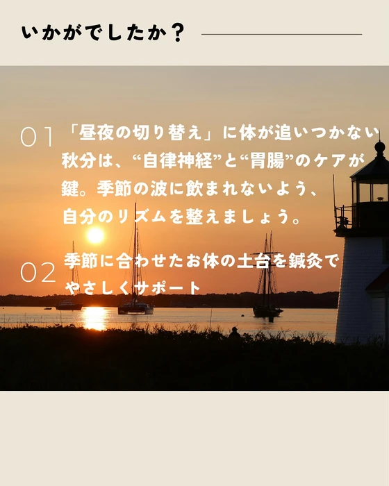 画像555