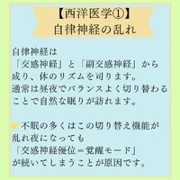 画像562