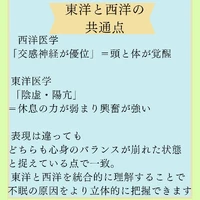 画像566