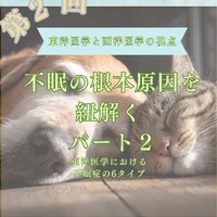 画像578